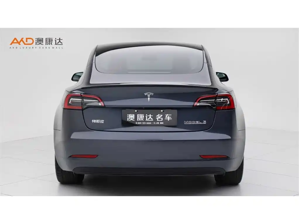 Tesla Model 3 2022 Performance