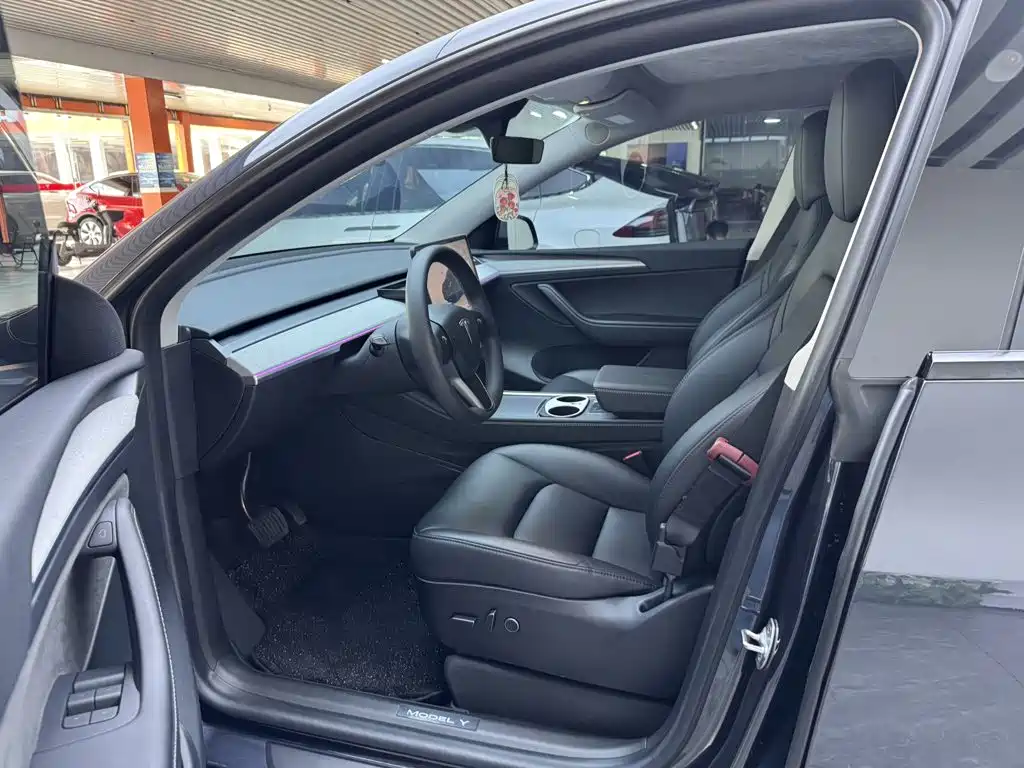 Tesla Model Y — миниатюра 15