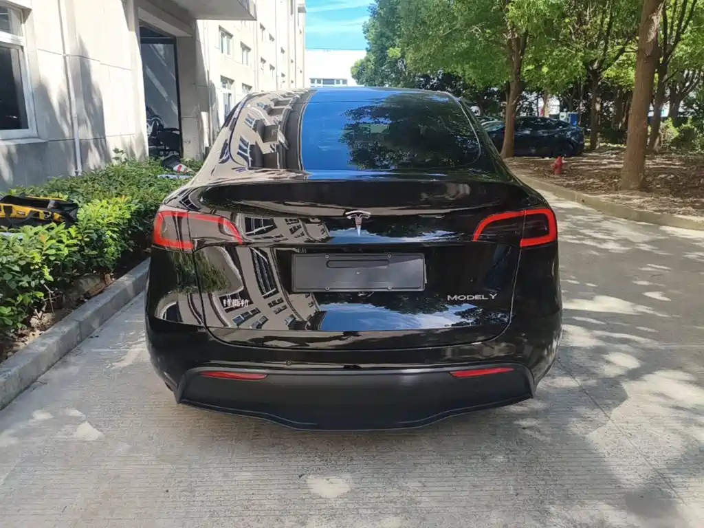 Tesla Model Y — миниатюра 6