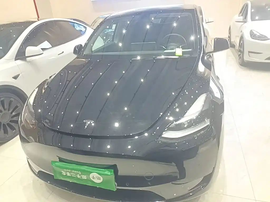 Tesla Model Y — миниатюра 3