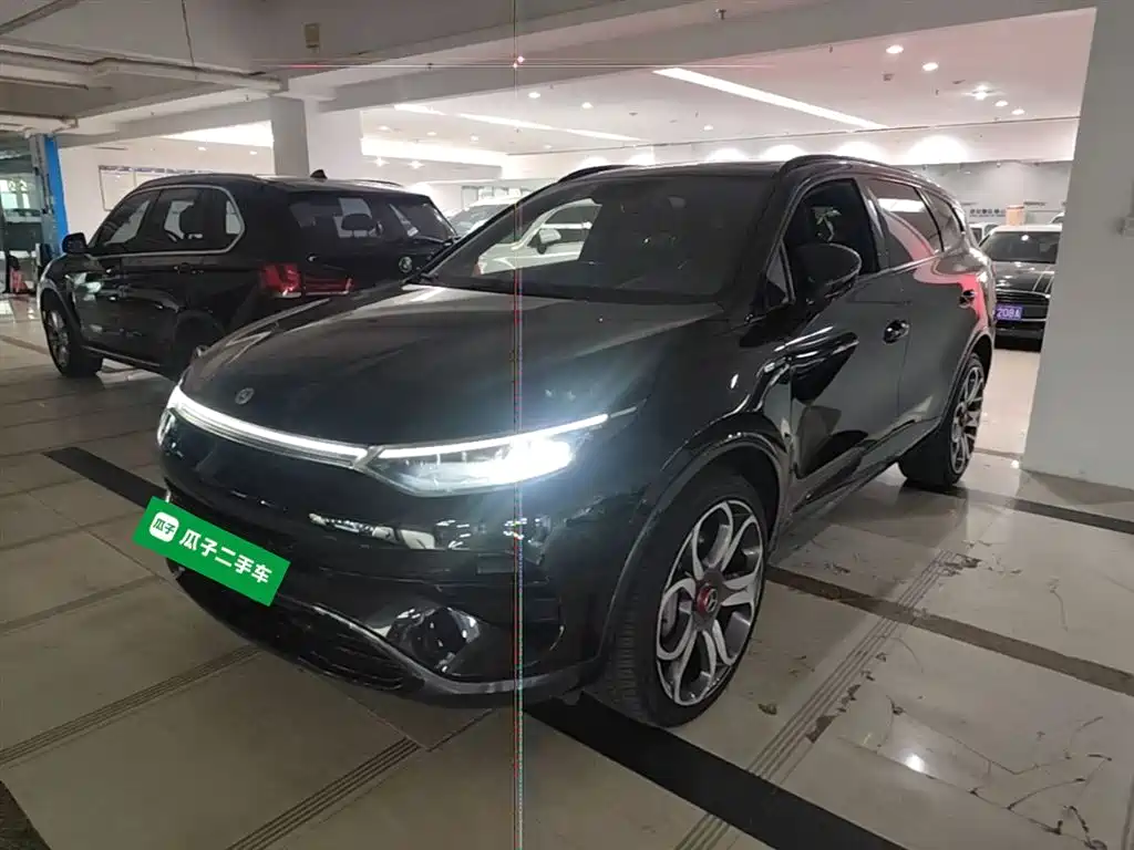 Denza Denza X 2021