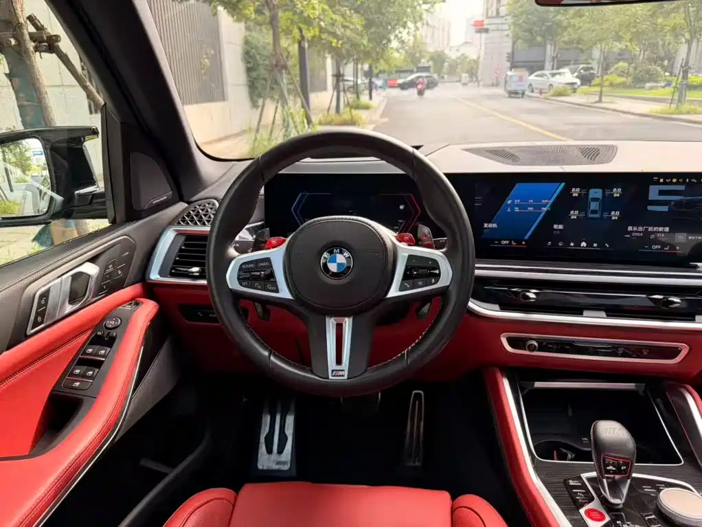 BMW X5 M — миниатюра 11