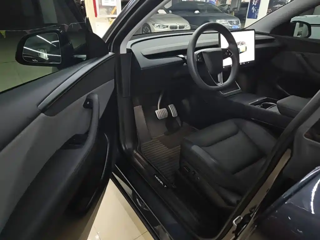 Tesla Model Y — миниатюра 15