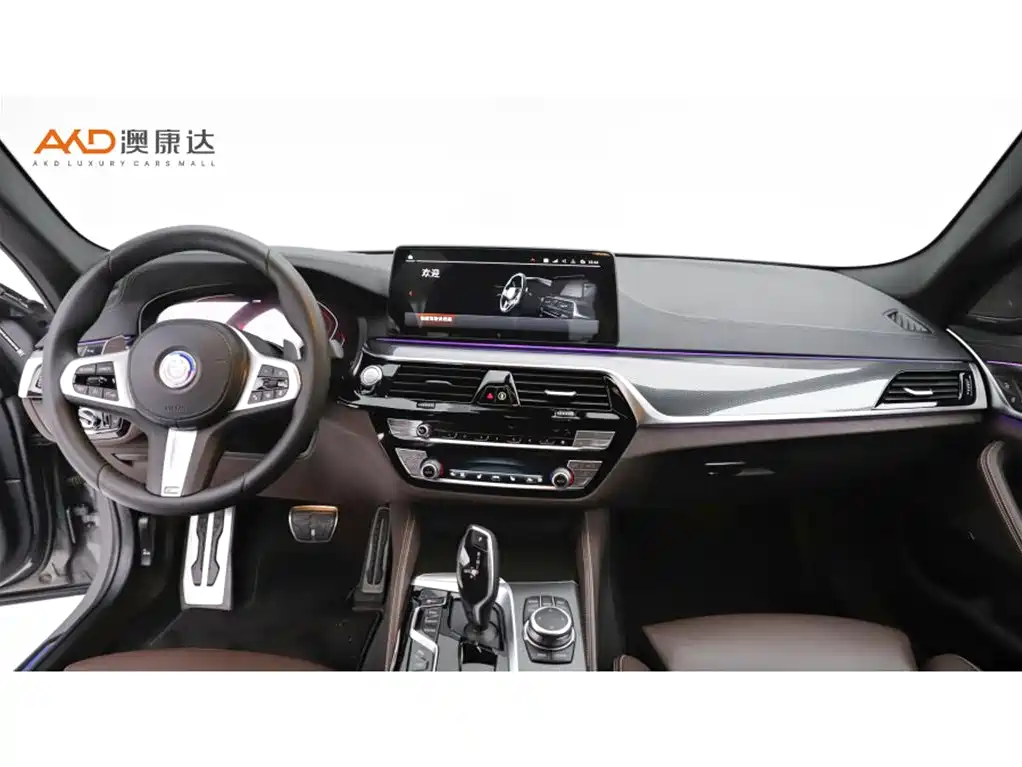 BMW 5 Series (Import) — миниатюра 5