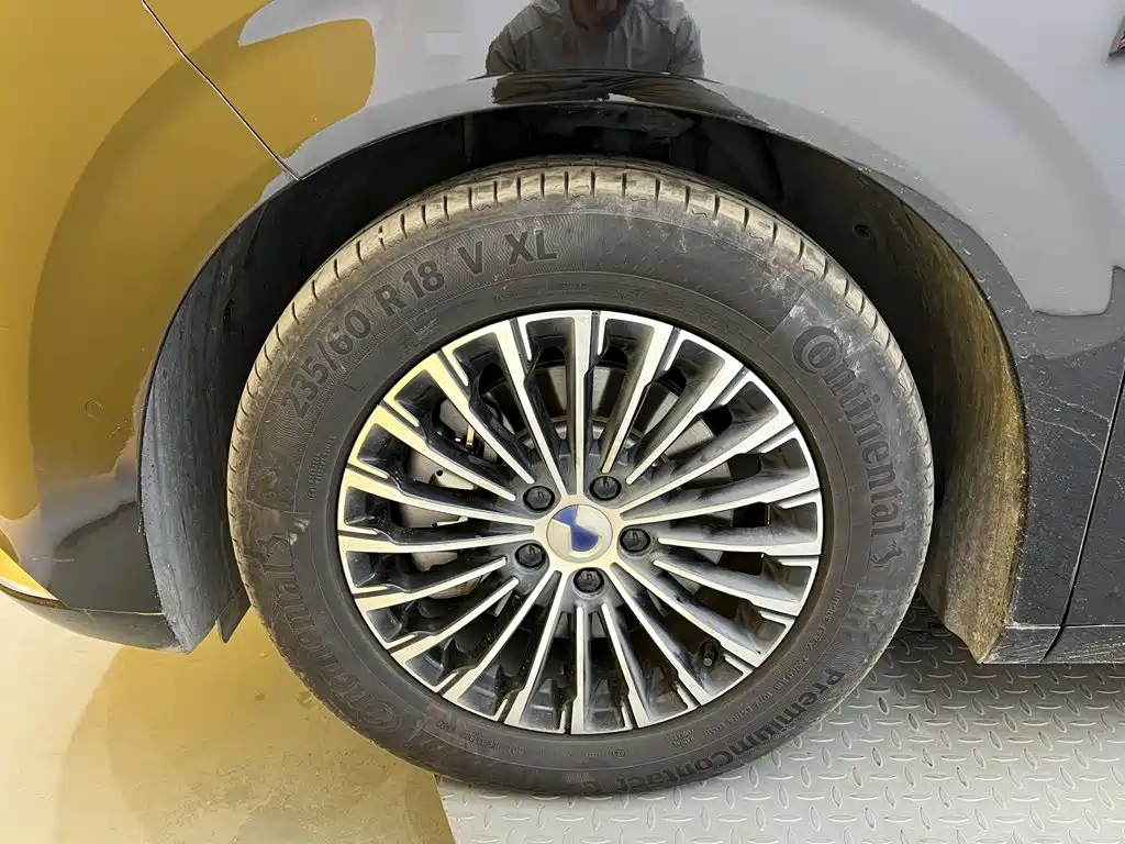 Denza Denza D9 — миниатюра 10