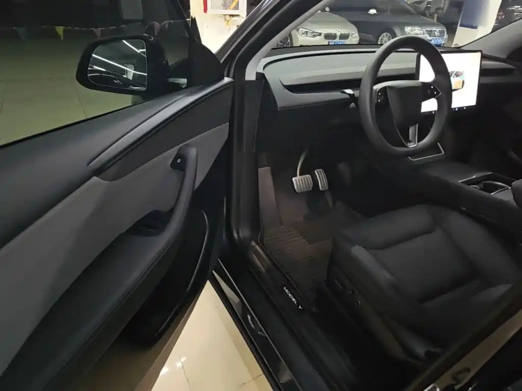 Tesla Model Y — миниатюра 16