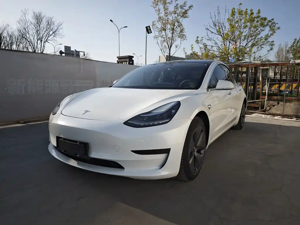 Tesla Model 3 2020