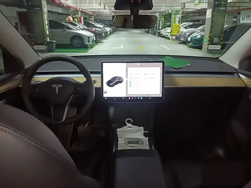 Tesla Model Y — миниатюра 10