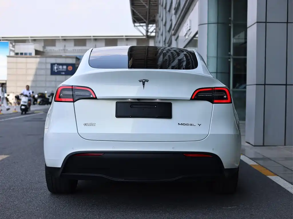 Tesla Model Y — миниатюра 4