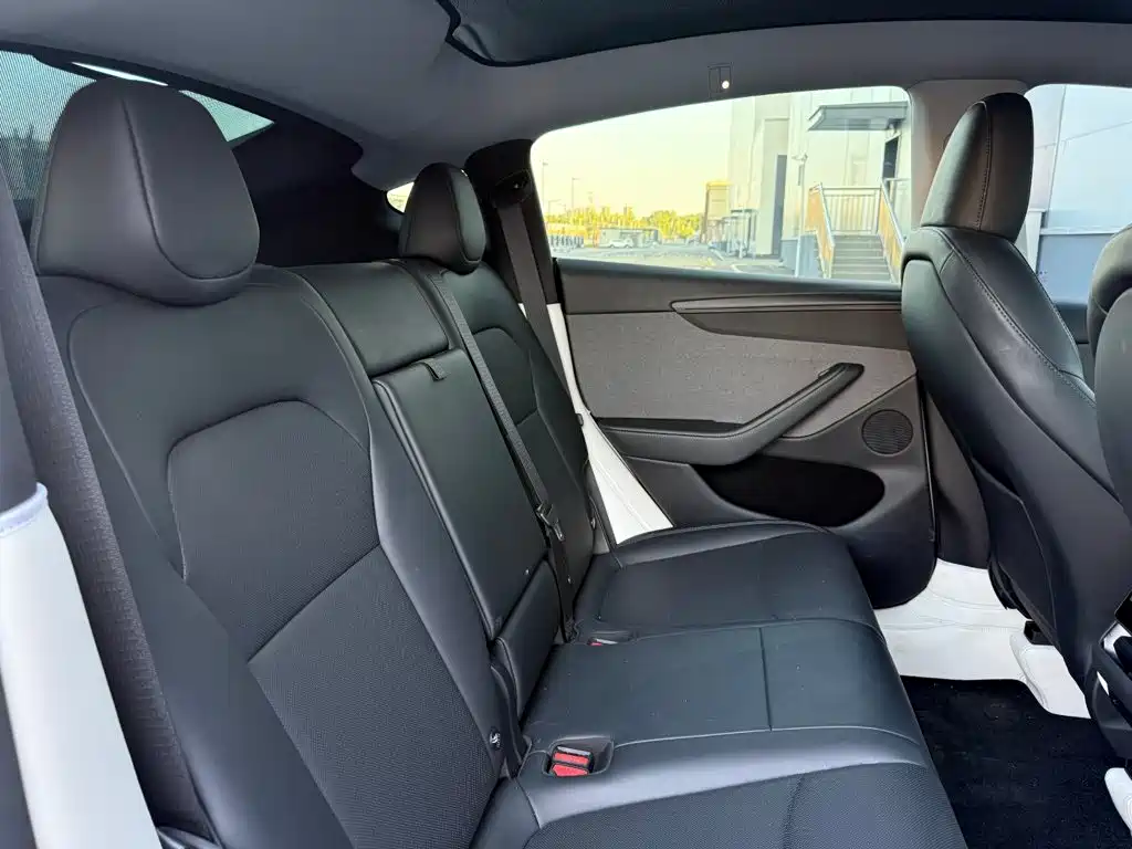 Tesla Model Y — миниатюра 25