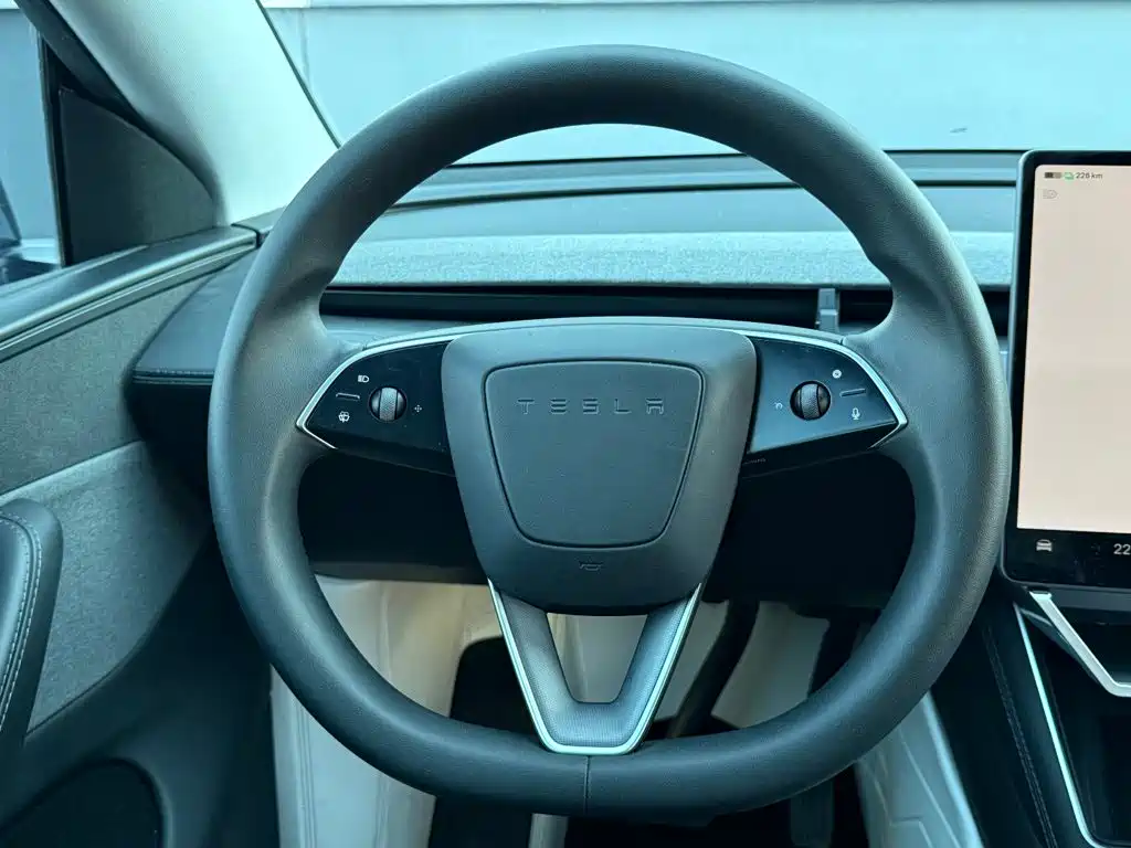 Tesla Model Y — миниатюра 30