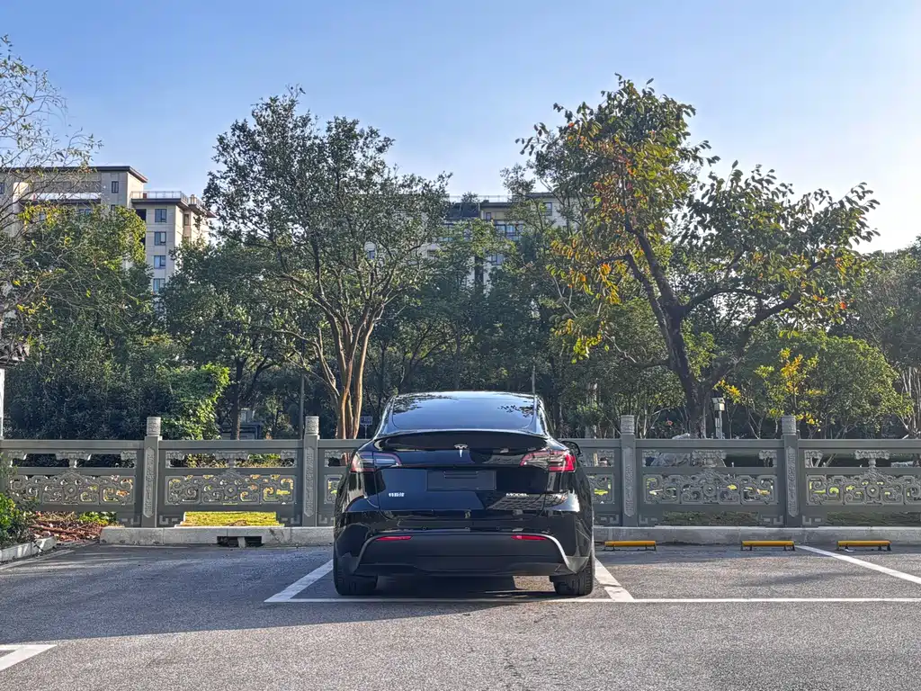 Tesla Model Y — миниатюра 5