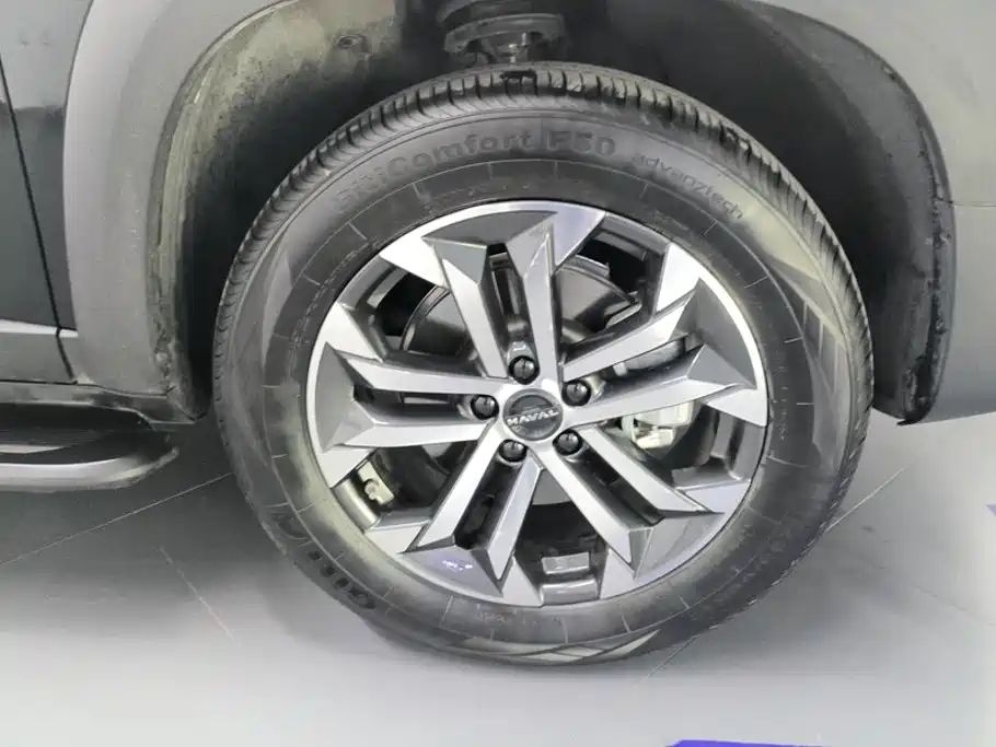 Haval Big Dog — миниатюра 6