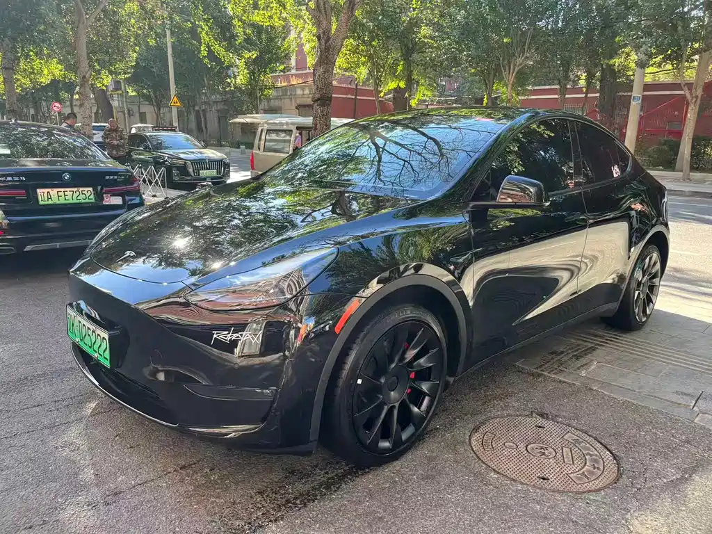 Tesla Model Y — миниатюра 2