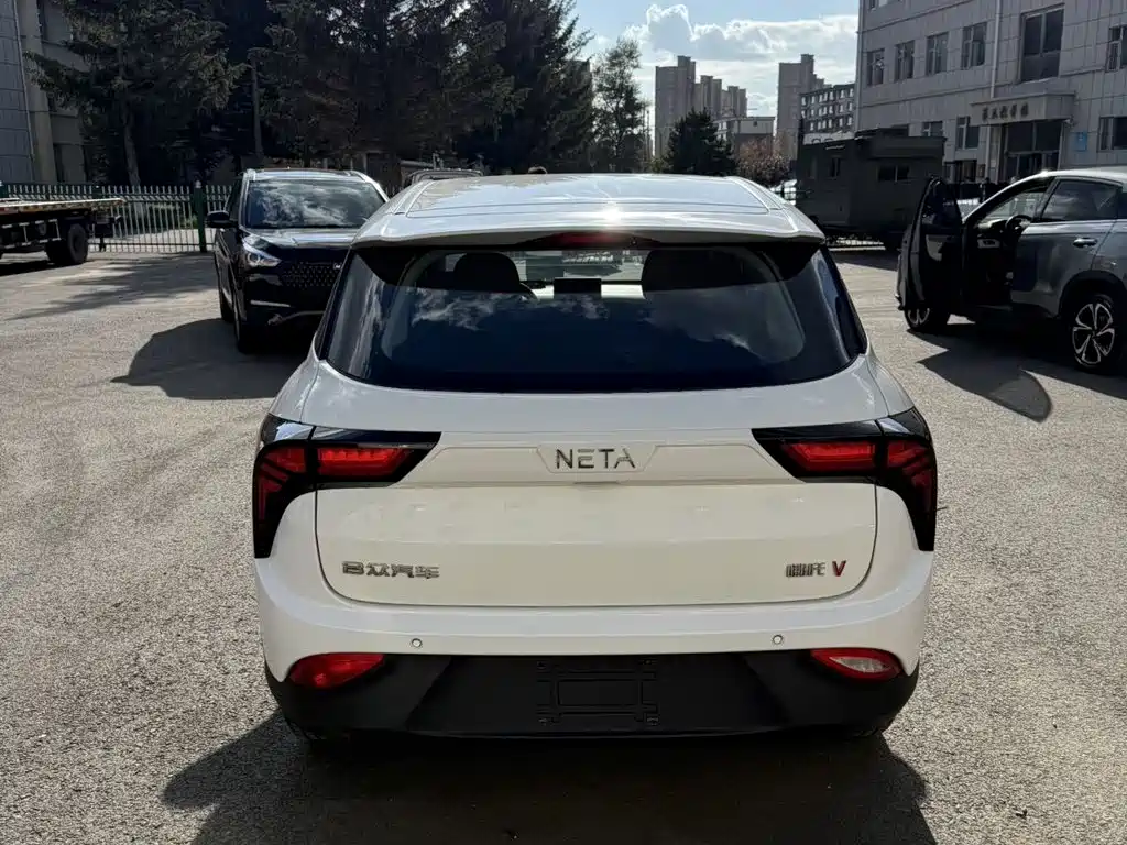 Neta Neta V — миниатюра 4