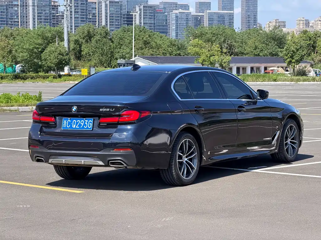 BMW 5 Series — миниатюра 12
