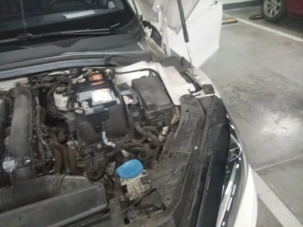 Volkswagen Lamando — миниатюра 21
