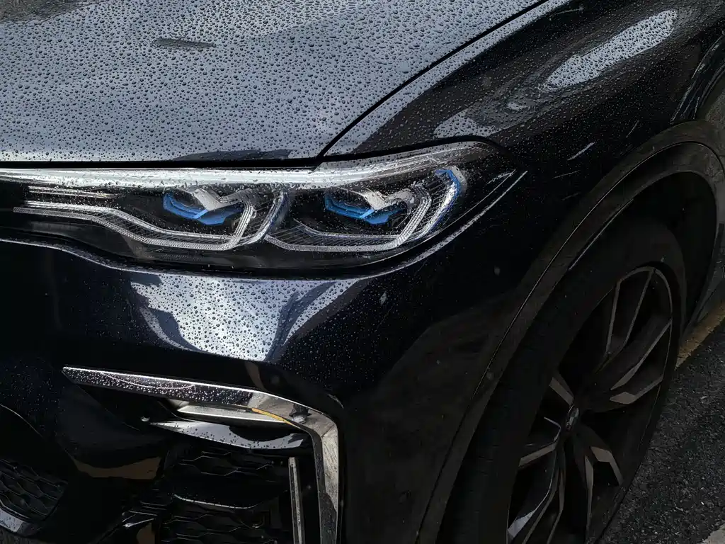 BMW X7 xDrive40i Executive Type M Sport Package, фото 10