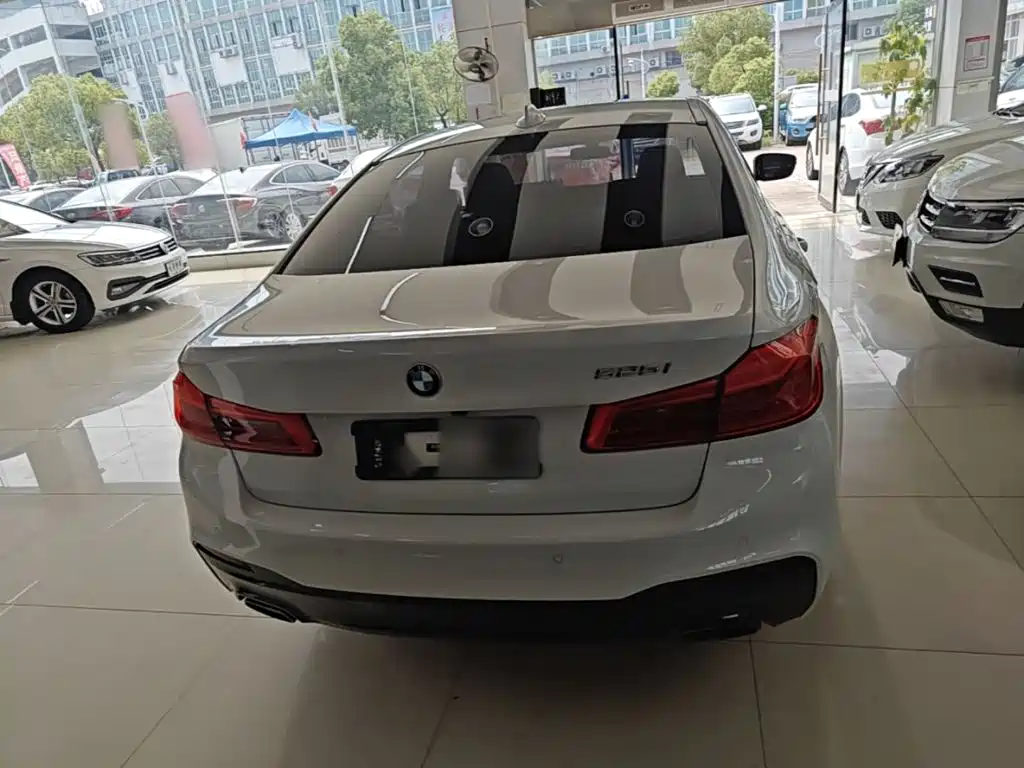 BMW 5 Series (Import) — миниатюра 6