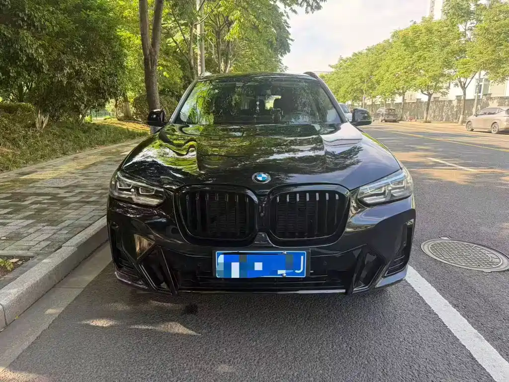 BMW X3 2023 xDrive30i Lead M