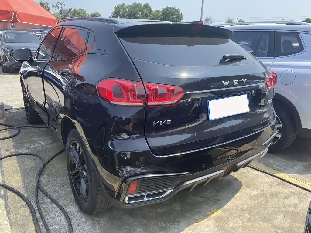 WEI PAI WEI BRAND VV5