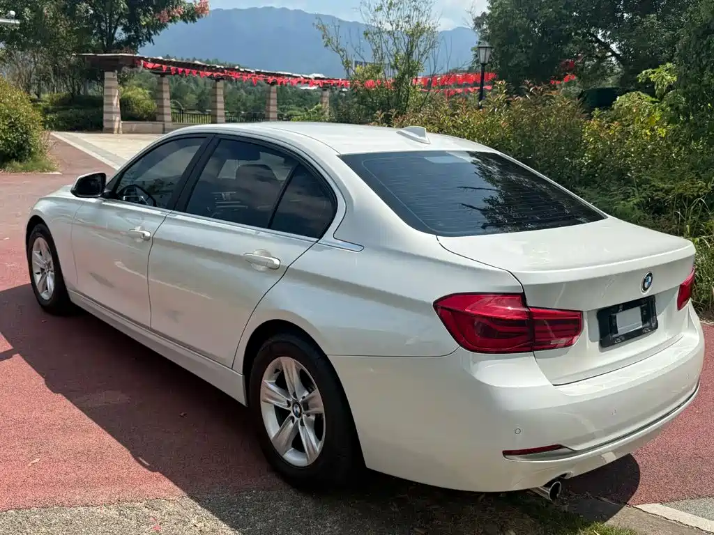 BMW 3 Series 3 2016 316Li Fashion