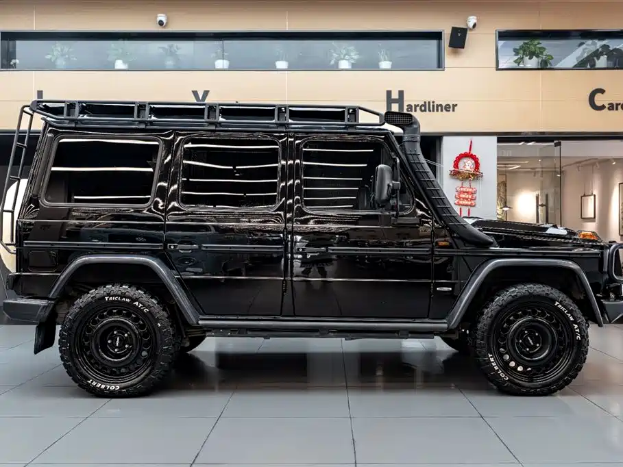 Mercedes-Benz G-Class G 2010 G 300