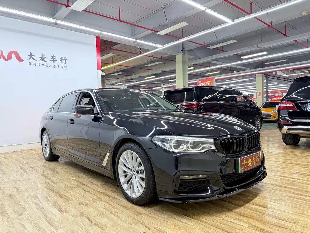 BMW 5 SERIES NEW ENERGY