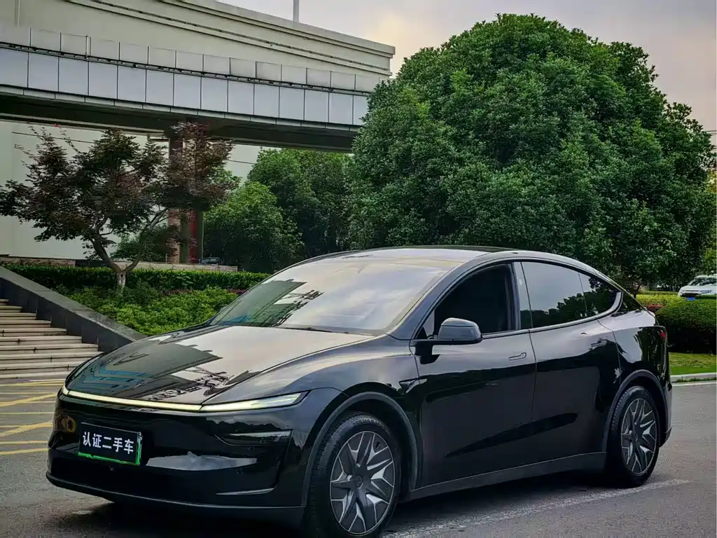 Tesla Model Y L