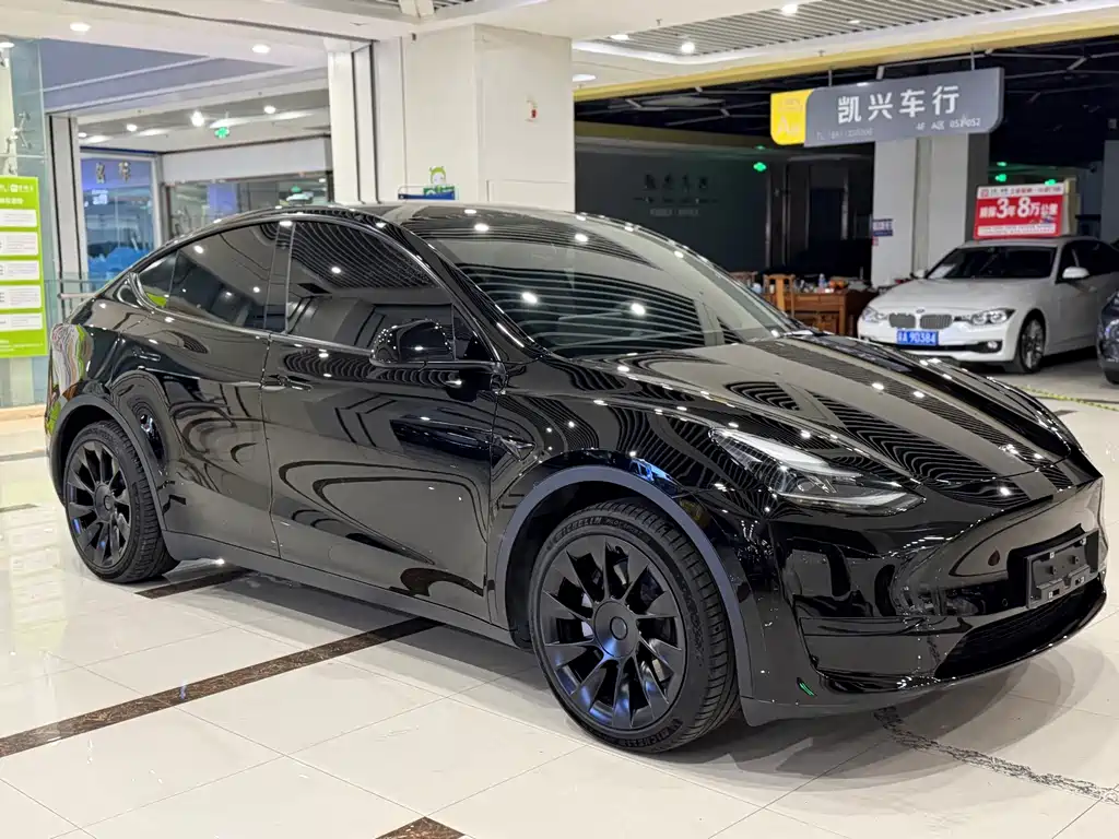 Tesla Model Y — миниатюра 3