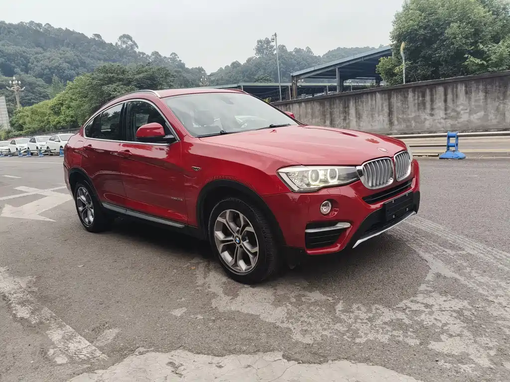 BMW X4 xDrive20i X Design Package, фото 3