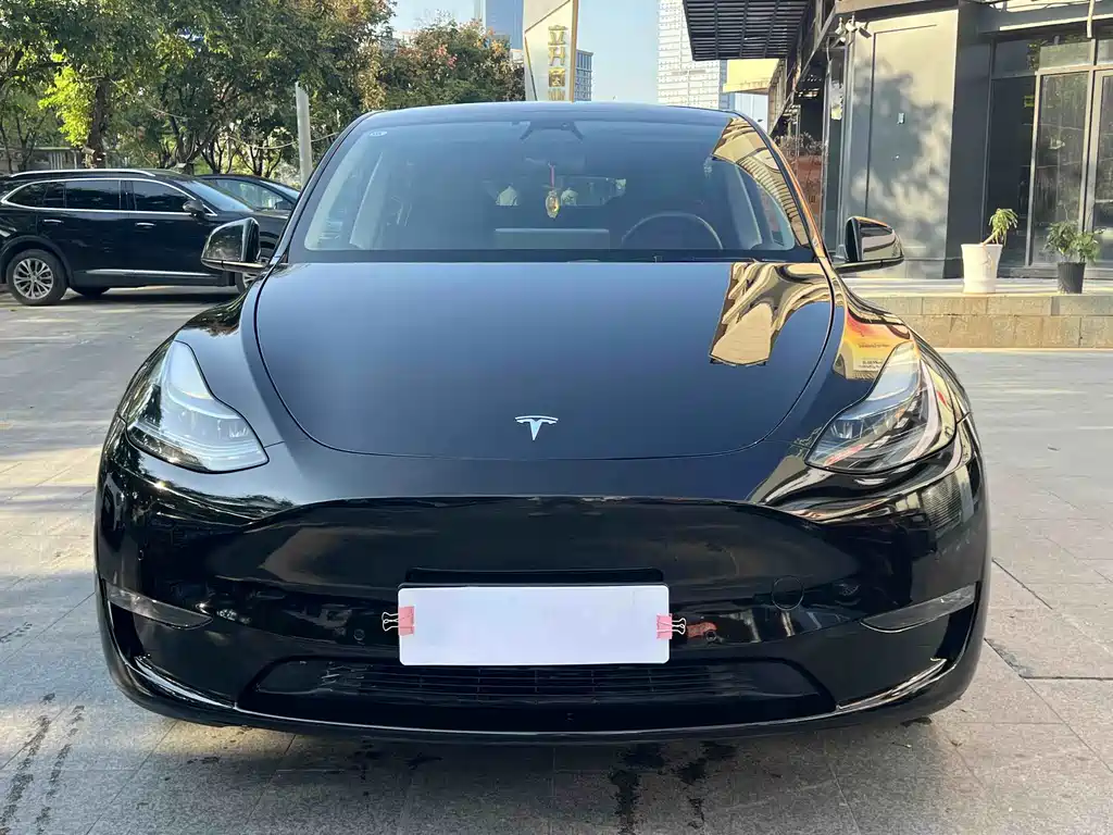 Tesla Model Y — миниатюра 2