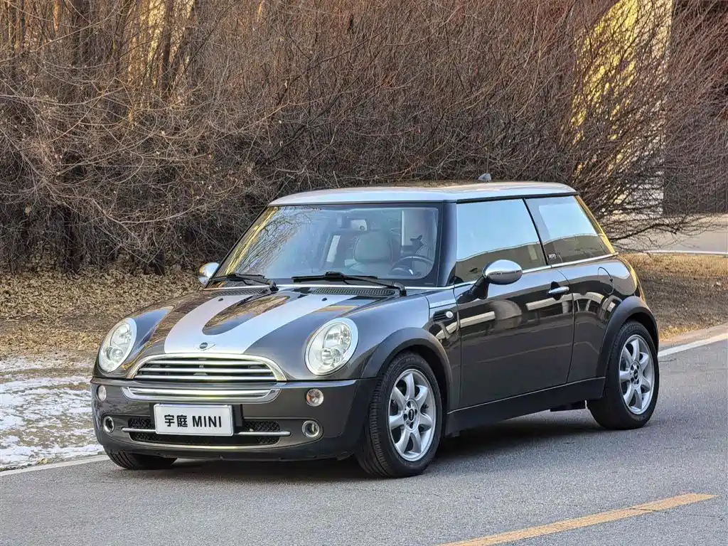 Mini Mini 2006