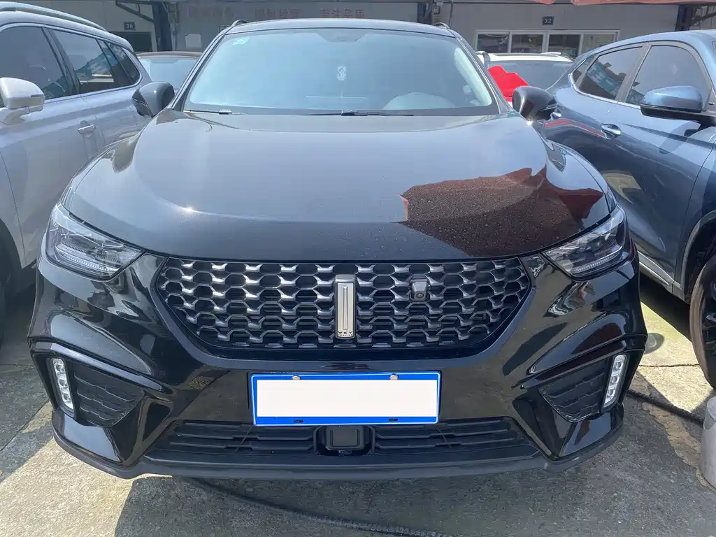 WEI PAI WEI BRAND VV5