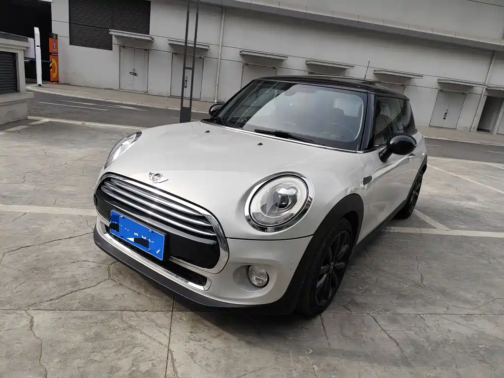 Mini Mini 2017