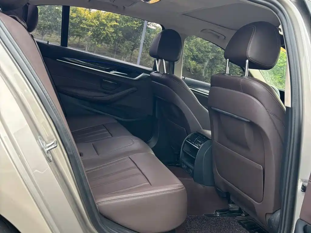 BMW 5 Series 5 2019 525Li Luxury