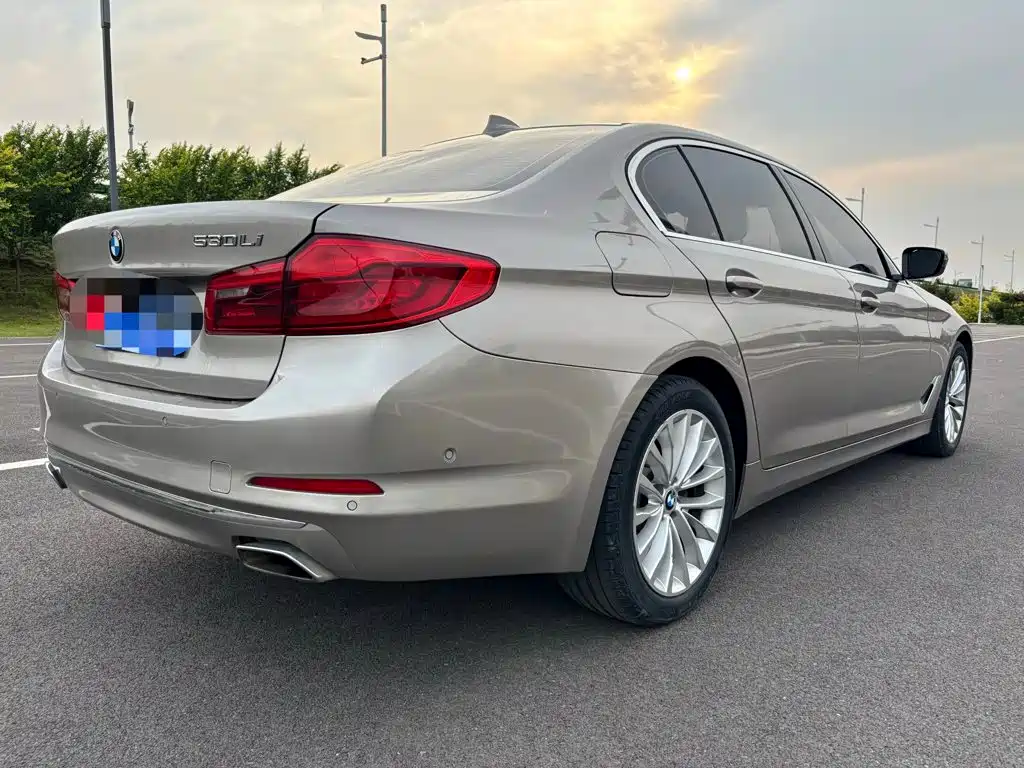 BMW 5 Series 5 2019 525Li Luxury