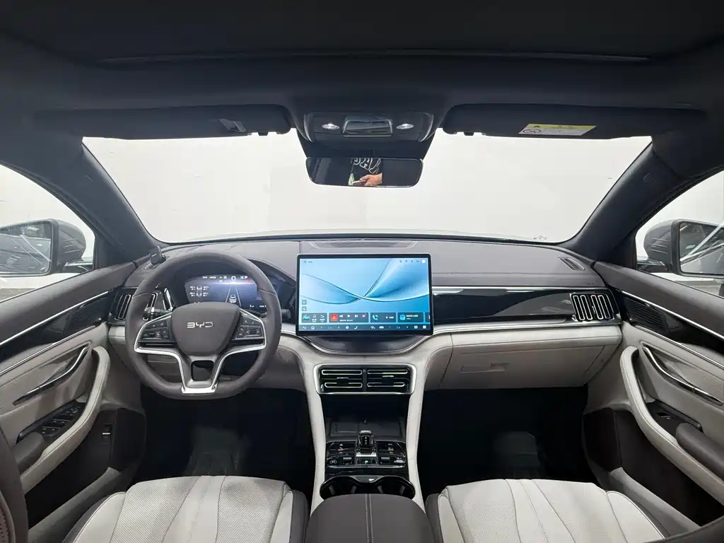BYD PLUS New Energy — миниатюра 4