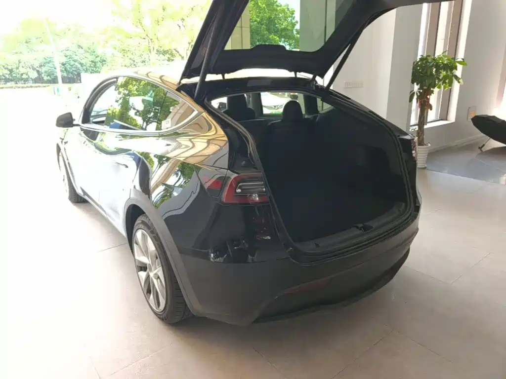 Tesla Model Y — миниатюра 5
