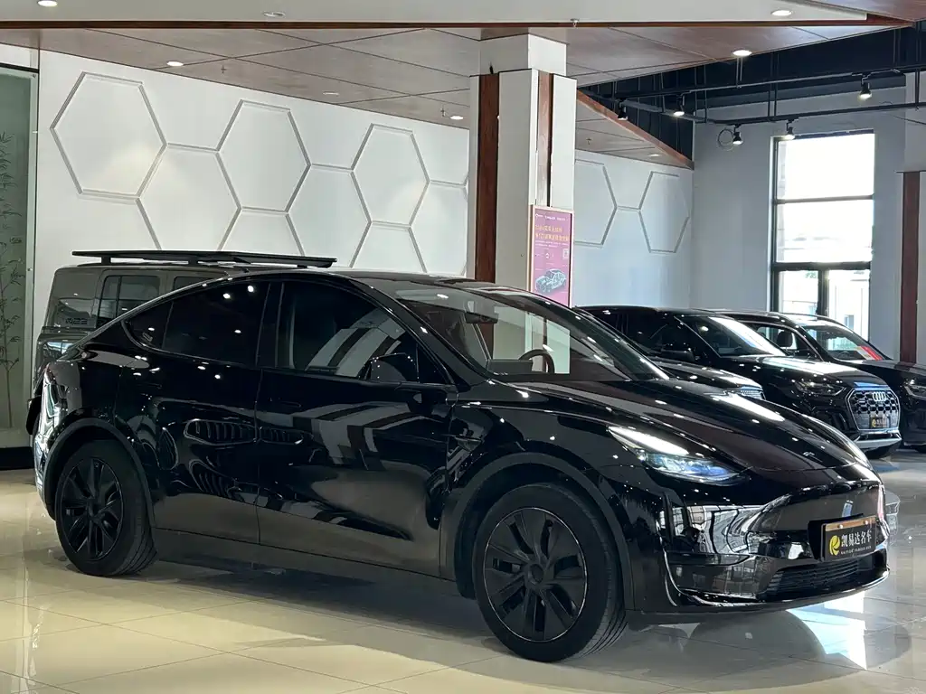 Tesla Model Y — миниатюра 4