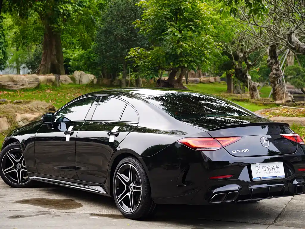 Mercedes-Benz CLS 2021 CLS 300 Luxury