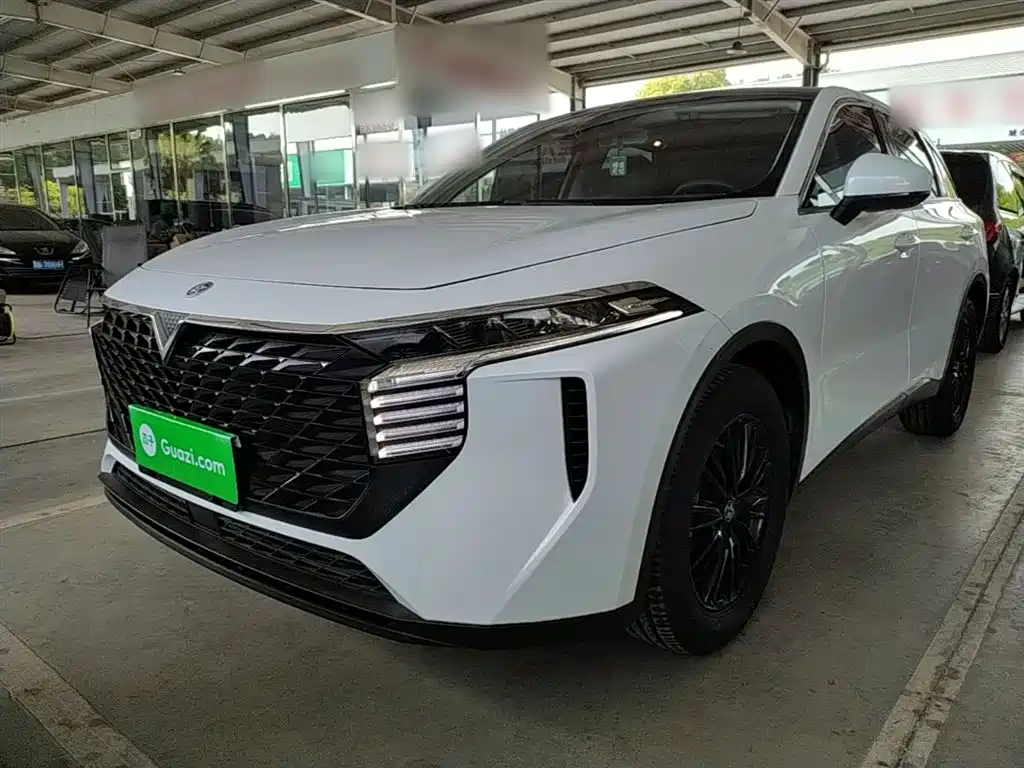 Venucia V 2023
