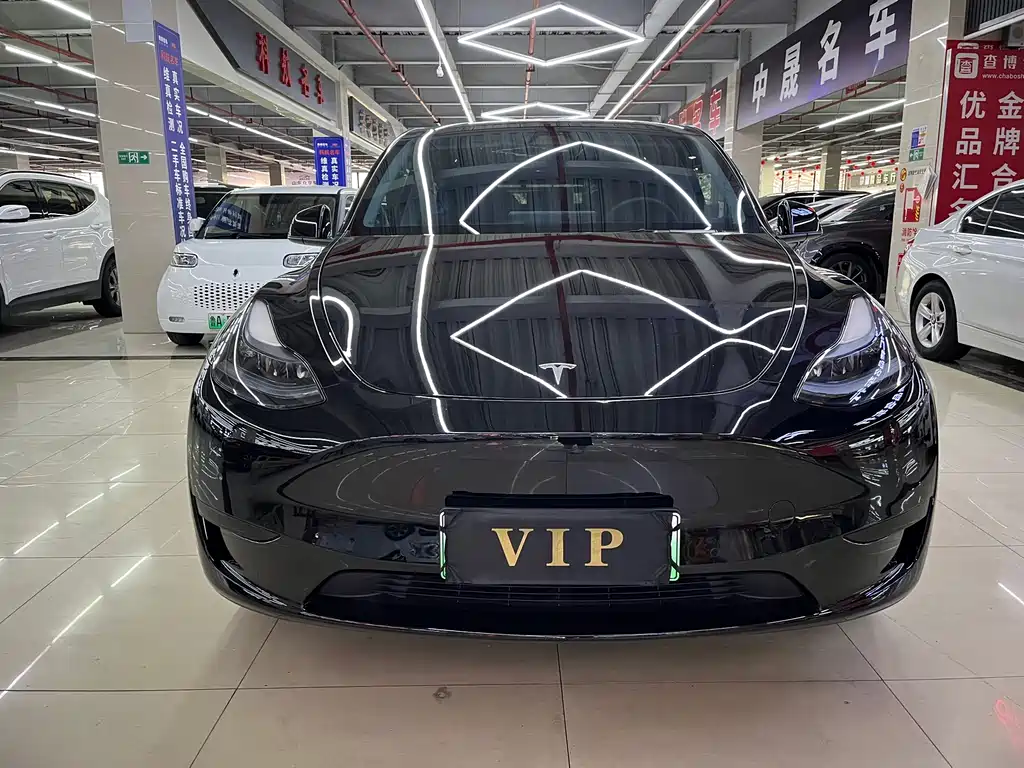 Tesla Model Y — миниатюра 2