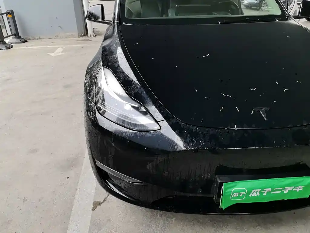 Tesla Model Y — миниатюра 7