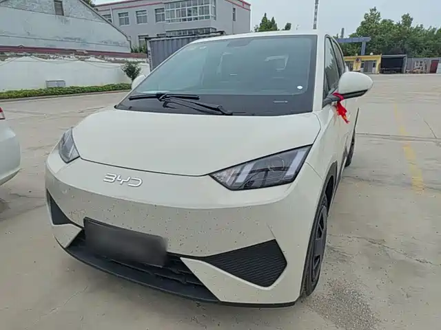 2026 BYD Seagull