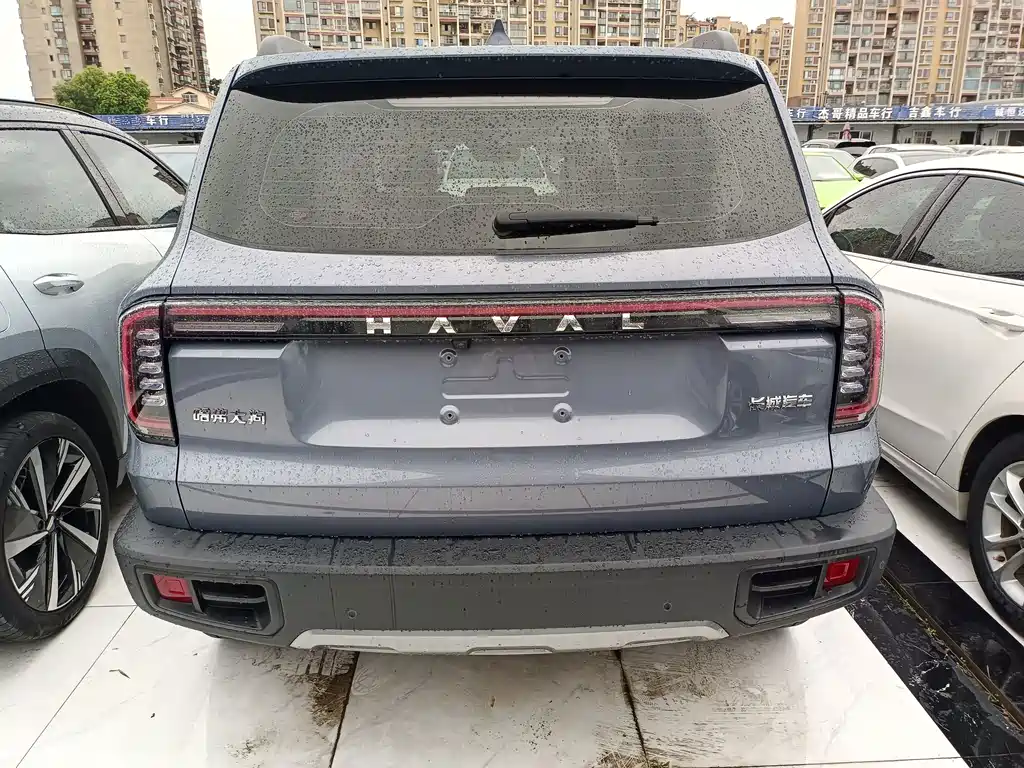 Haval Big Dog — миниатюра 15