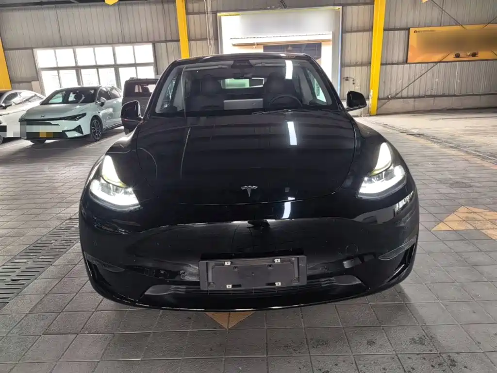 Tesla Model Y — миниатюра 3