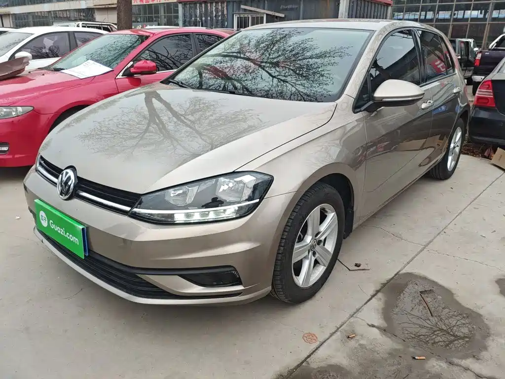 Volkswagen Golf 2019 1.6L AT Fashion V