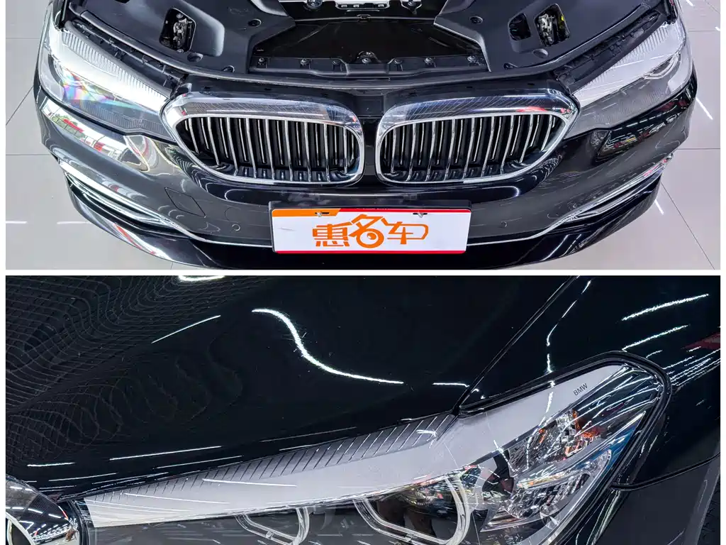 BMW 5 Series 5 2019 525Li Luxury