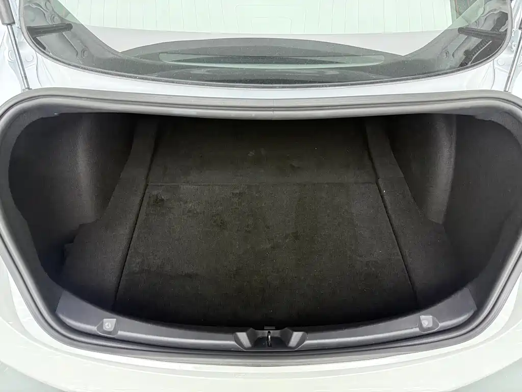 Tesla Model 3 — миниатюра 29
